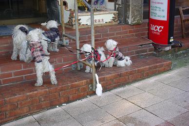 e0087008_12106.jpg