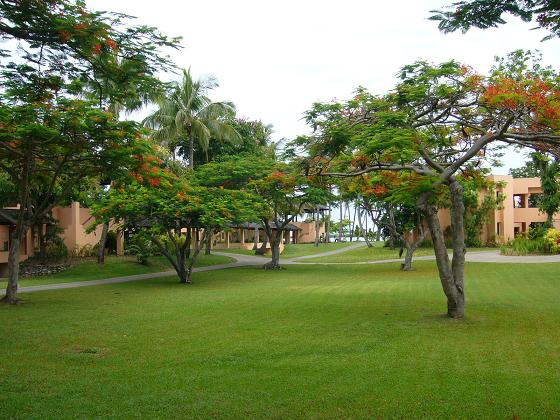 b0112909_1235015.jpg