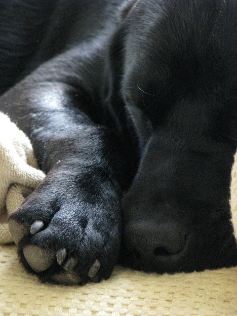 d0081210_22404425.jpg