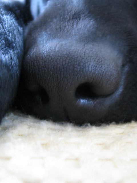 d0081210_22413188.jpg