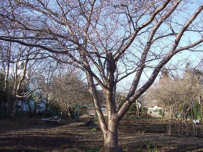 f0143119_21574419.jpg