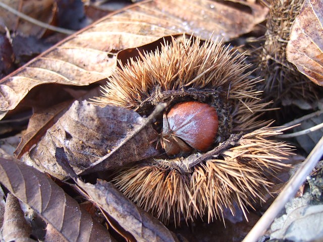 f0143119_2215414.jpg