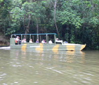c0137720_15364271.jpg