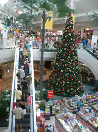 c0137720_15384855.jpg