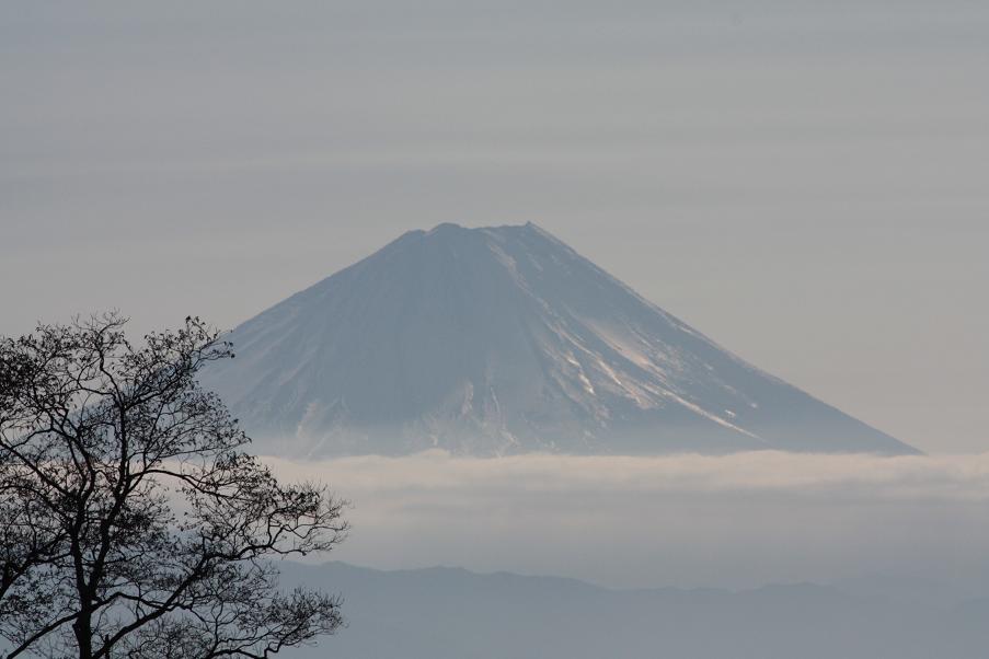 早朝散歩~雪ちゃん_f0114128_16462795.jpg