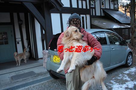 早朝散歩~雪ちゃん_f0114128_16553958.jpg