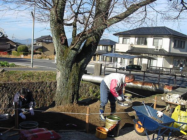 一年間御世話になりました。_f0076731_19191233.jpg