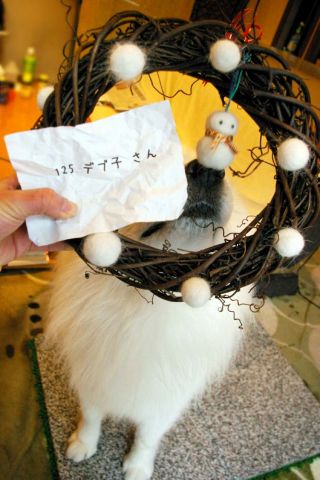 ボツ・クローカ救済コーナー(12月後半)_c0062832_19284558.jpg