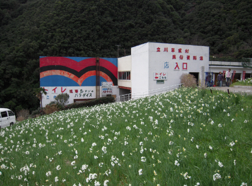 日本発祥の地　おのころ島神社、そして謎のパラダイス_d0017632_1123494.jpg