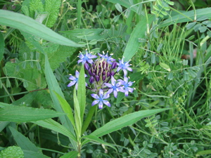 c0141844_07348.jpg