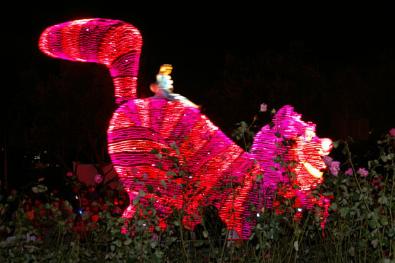 f0155255_1853922.jpg