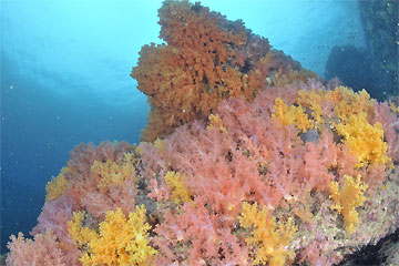 2009/01/07 Wed._e0158261_17301480.jpg