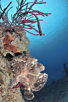 2009/01/07 Wed._e0158261_1731525.jpg