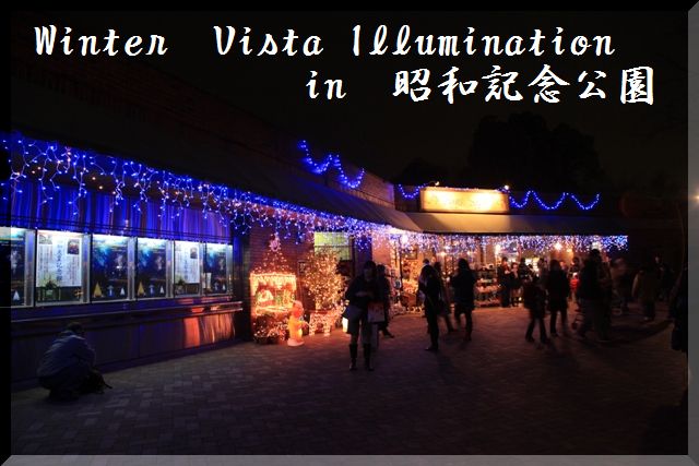 2008　Winter　Vista　Illumination　＠　昭和記念公園_c0134862_143123.jpg