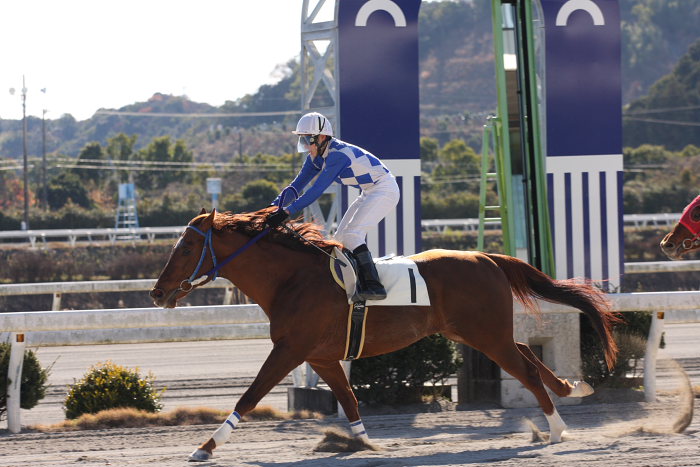 2009年1月1日（木） 高知競馬 2R_a0077663_13361100.jpg