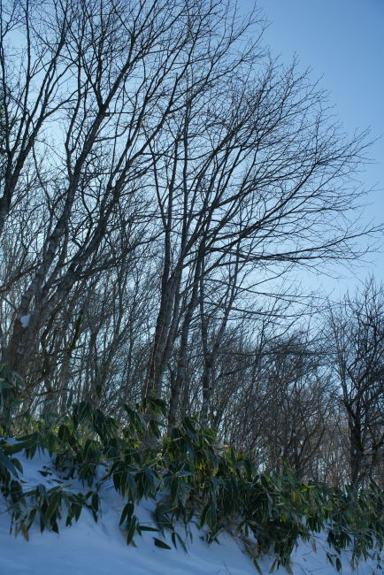e0152576_2217724.jpg