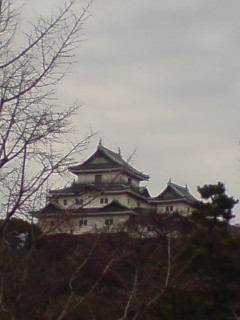アササン_c0009877_222295.jpg