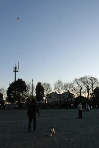 c0070377_23355754.gif