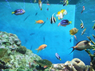 e0135683_0451316.jpg