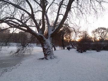 c0180686_6414430.jpg