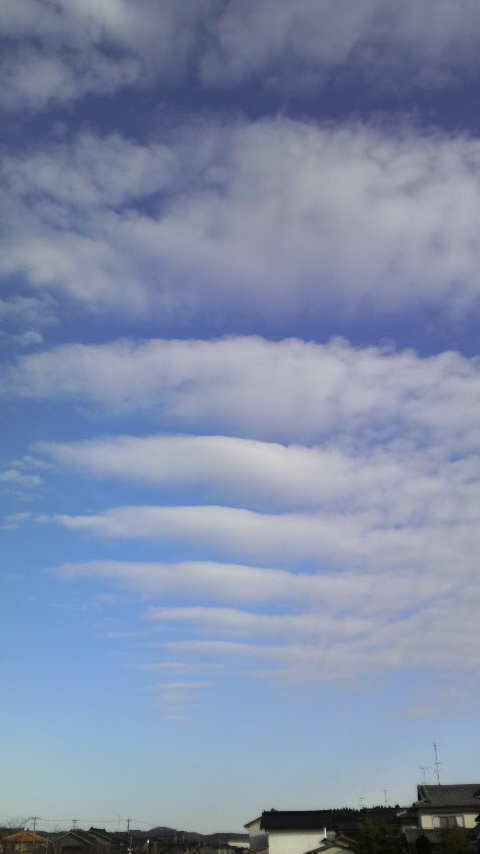c0156789_21594949.jpg