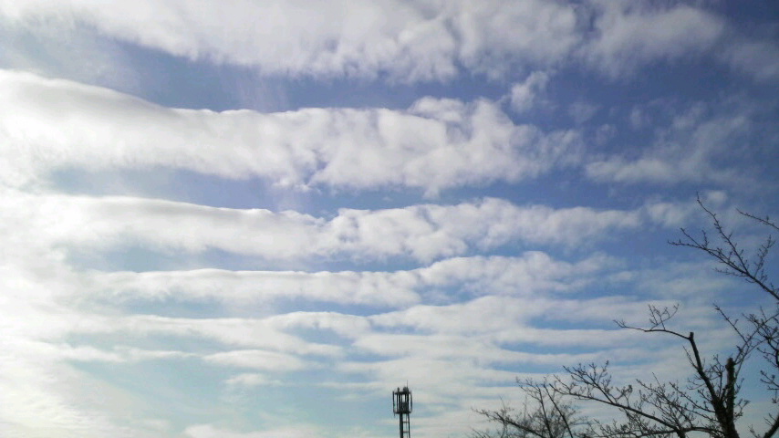 c0156789_21594976.jpg