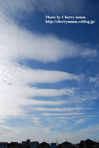 c0156789_2203690.jpg