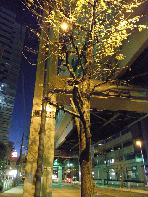 横浜西口 尾っぽや ぶーさんの日記 横浜西口 尾っぽや ぶーさんの日記