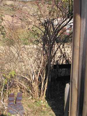 c0156104_23451318.jpg