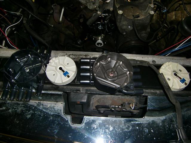 c0118011_16323282.jpg