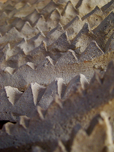 e0034012_1322275.jpg