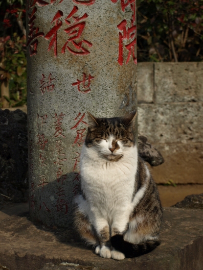 法華経寺（下総中山）　参道_e0083212_15291321.jpg