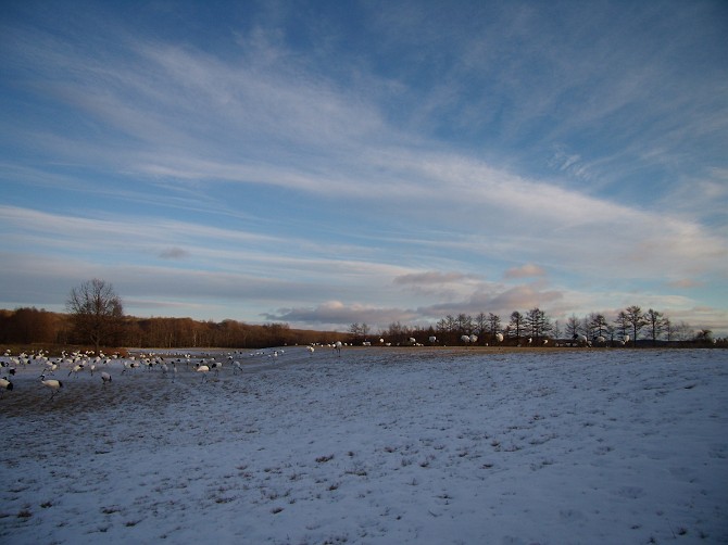 b0152416_2356549.jpg