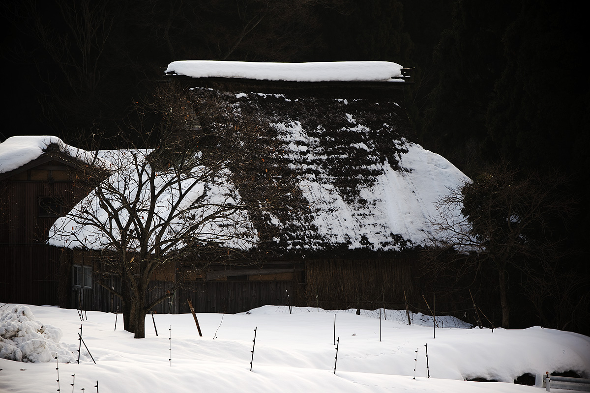 c0115616_1753551.jpg