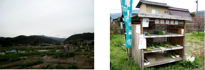 c0051620_684110.jpg