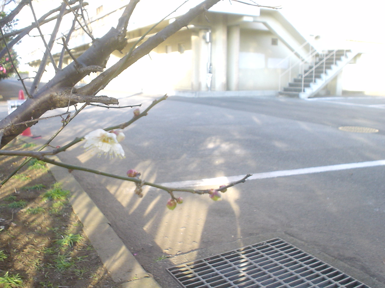 c0150520_10324383.jpg