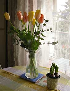 Tulipe 7_e0167029_6542992.jpg