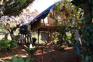 d0106737_1101714.jpg