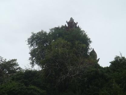 f0136038_943922.jpg