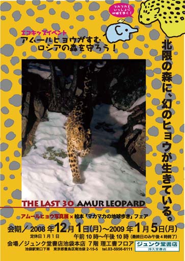 ジュンク堂アムールヒョウ写真展1月31日まで！_c0090639_3122217.jpg