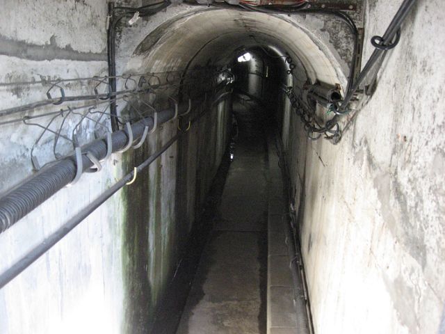 e0093842_181569.jpg