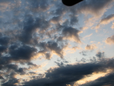 c0141844_1231810.jpg