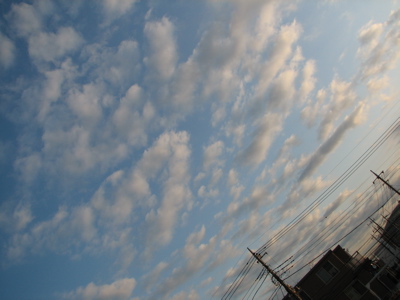 c0141844_124581.jpg