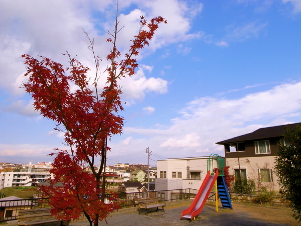 c0039145_23132321.jpg