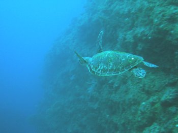b0093050_1191511.jpg