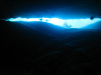 b0093050_119599.jpg
