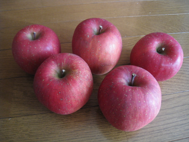 c0177951_1141435.jpg