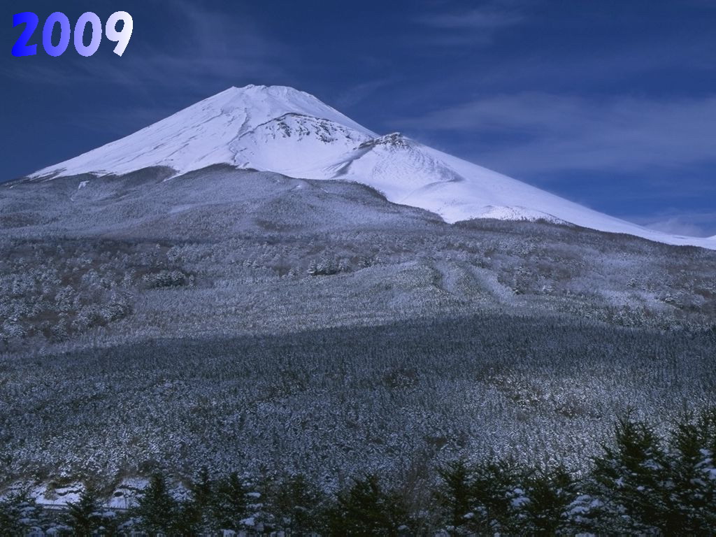 c0084268_753488.jpg