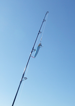 c0143171_0512010.jpg