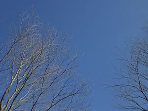 b0150576_13523839.jpg